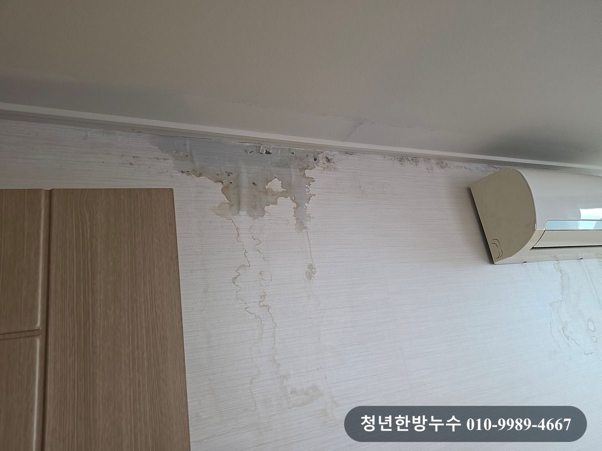 벽과 천장 주변에 남은 변색 흔적입니다.