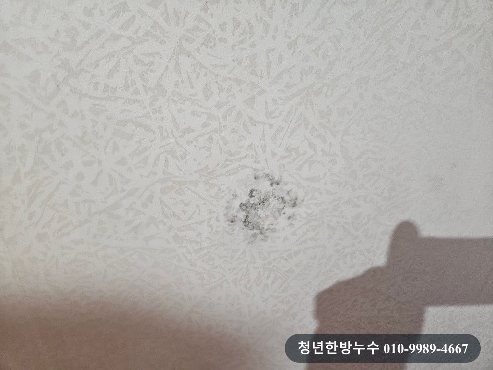 천장에 번진 얼룩 자국이 남아 있는 모습입니다.