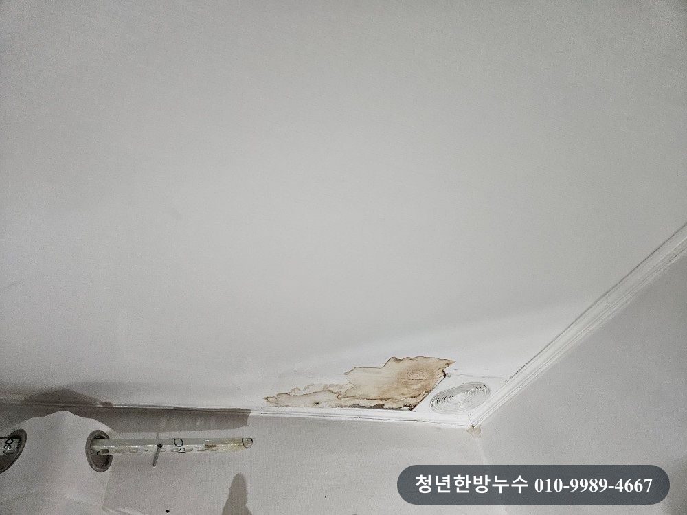 아래층 천장의 손상 흔적입니다.