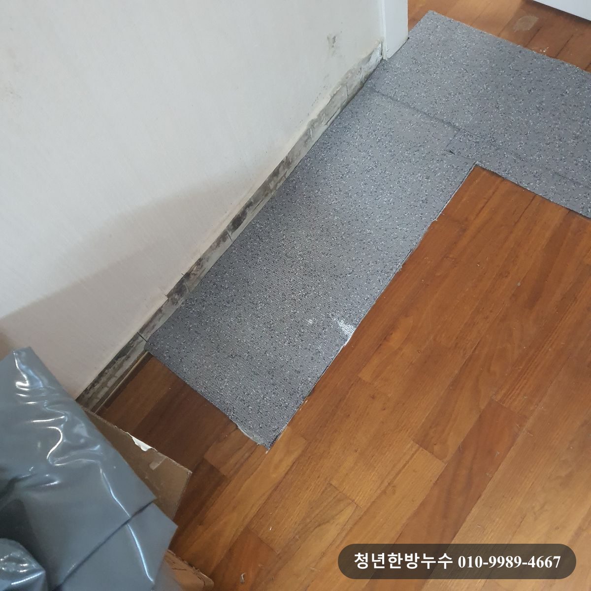 강동구 성내동 화장실 천장 곰팡이 동배관 누수 현장 사진