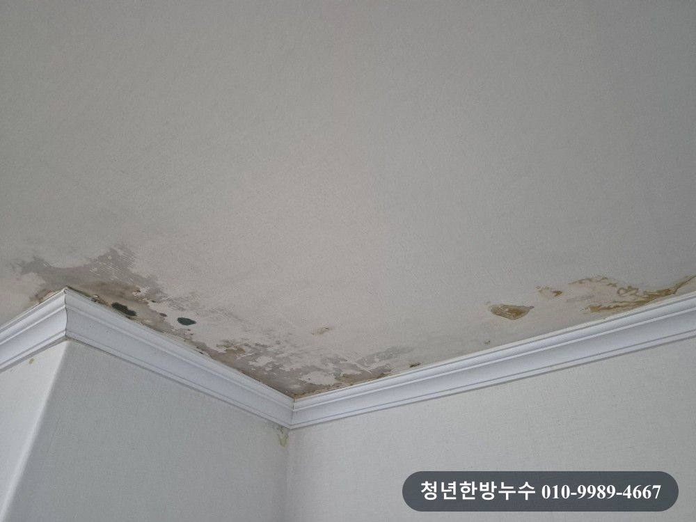 중랑구 면목동 아파트 천장누수 앵글밸브 오수배관 현장 사진